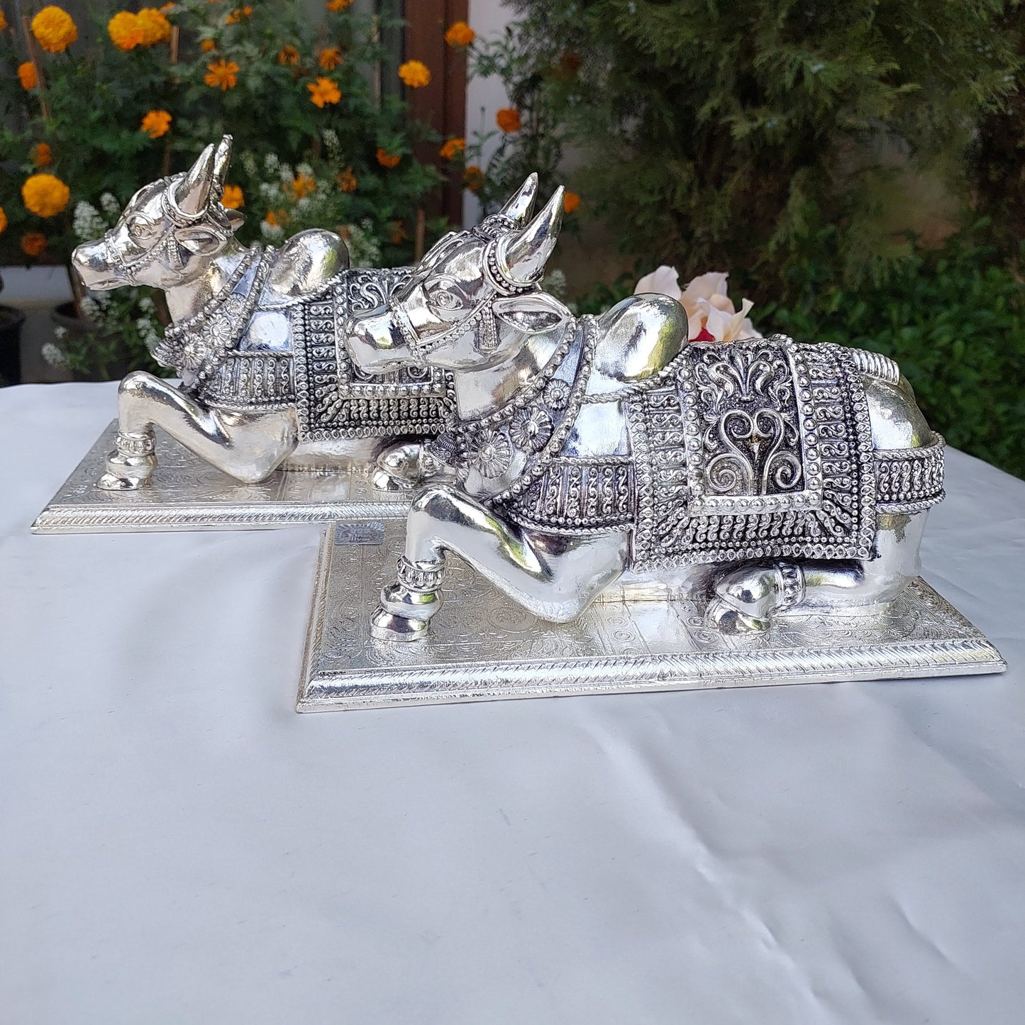 Silver Nandi