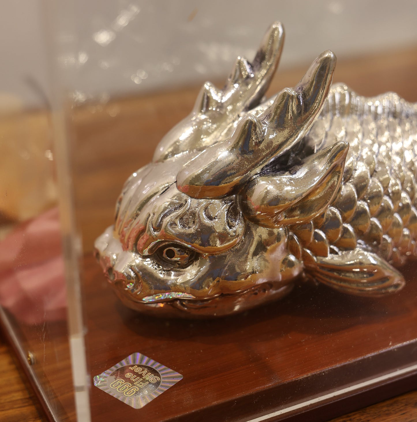 Silver Fish