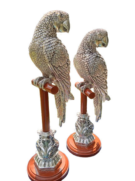 Image of Silver Parrot Pair