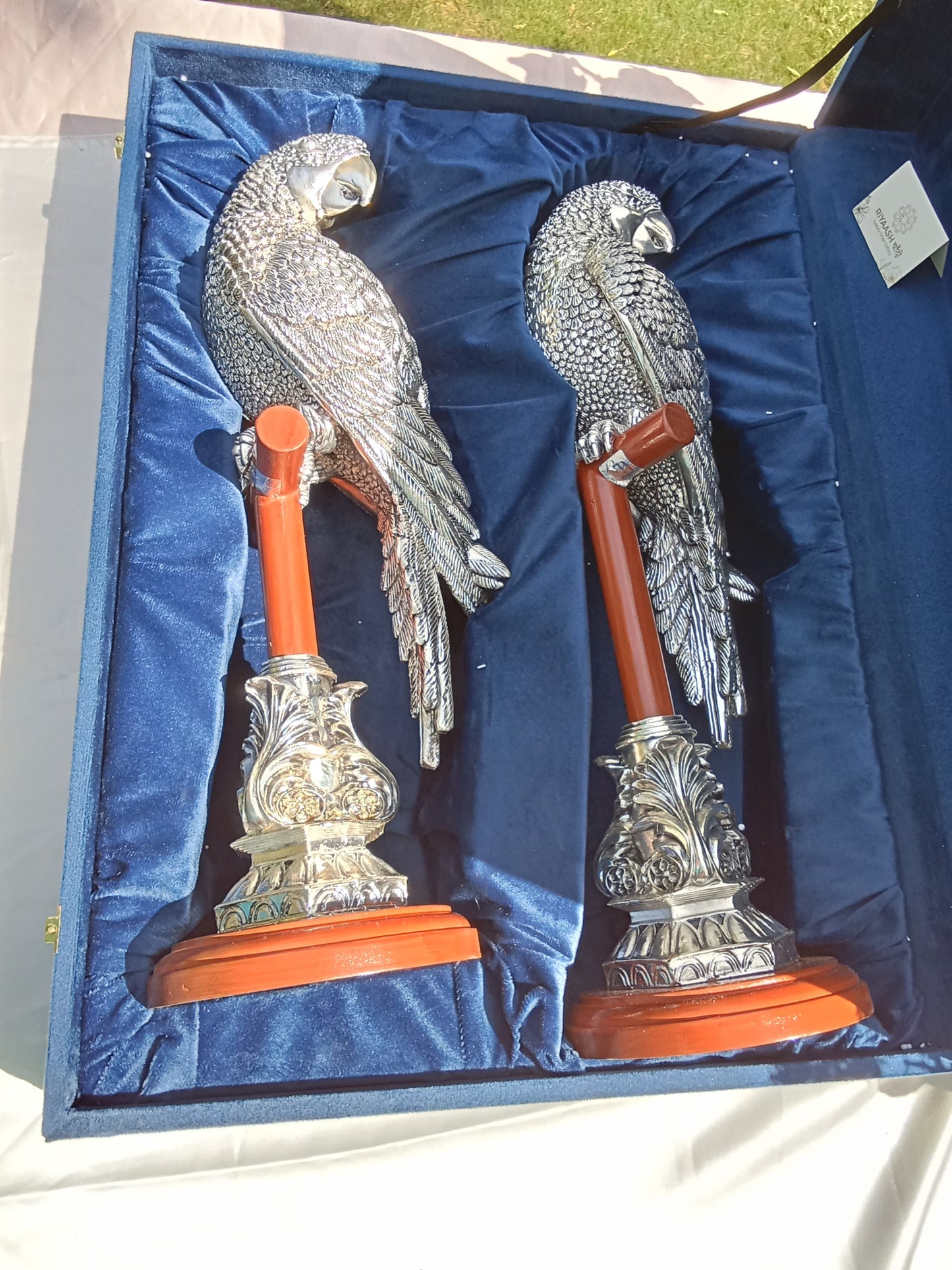 Silver Parrot Pair