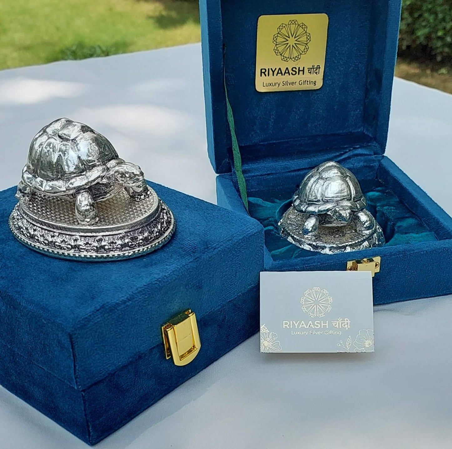Silver Tortoise
