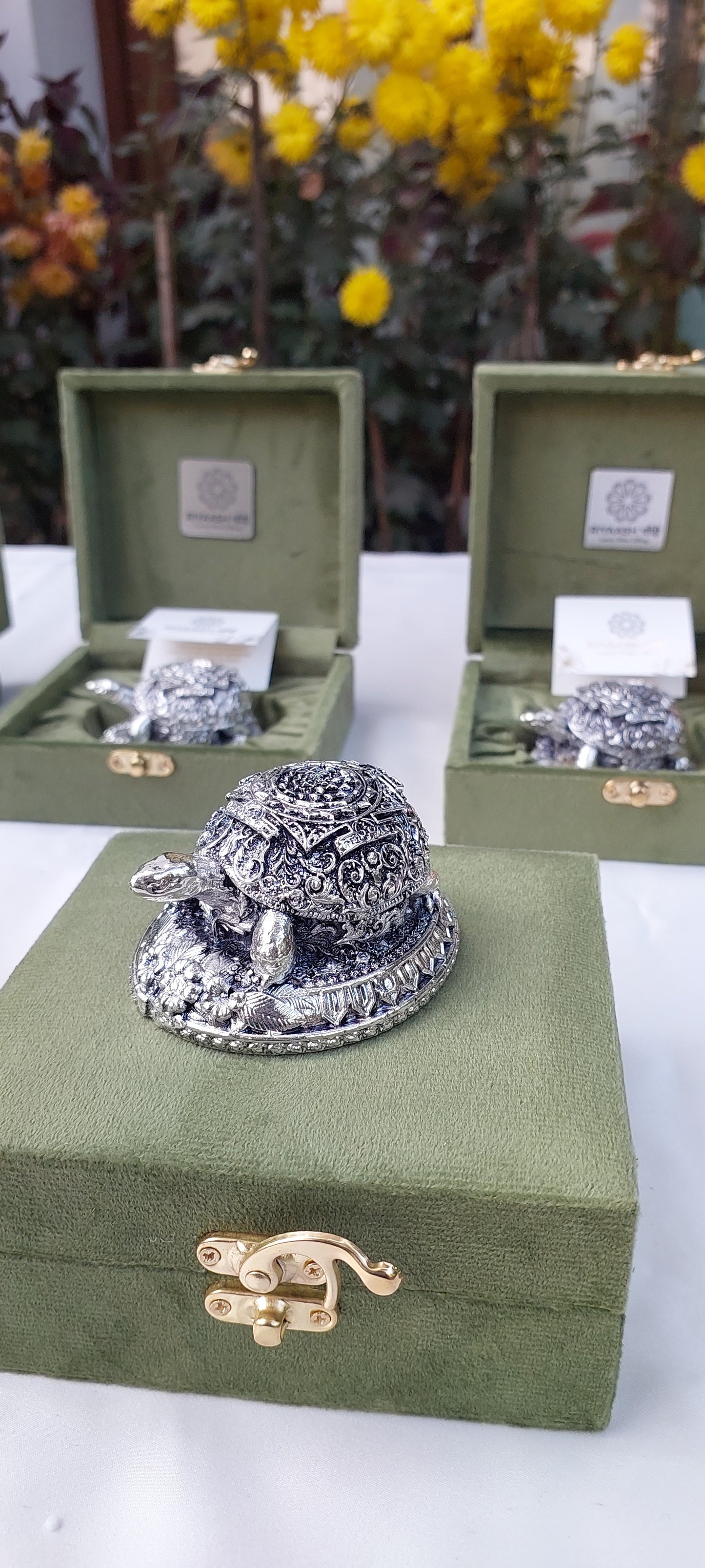 Silver Designer Tortoise