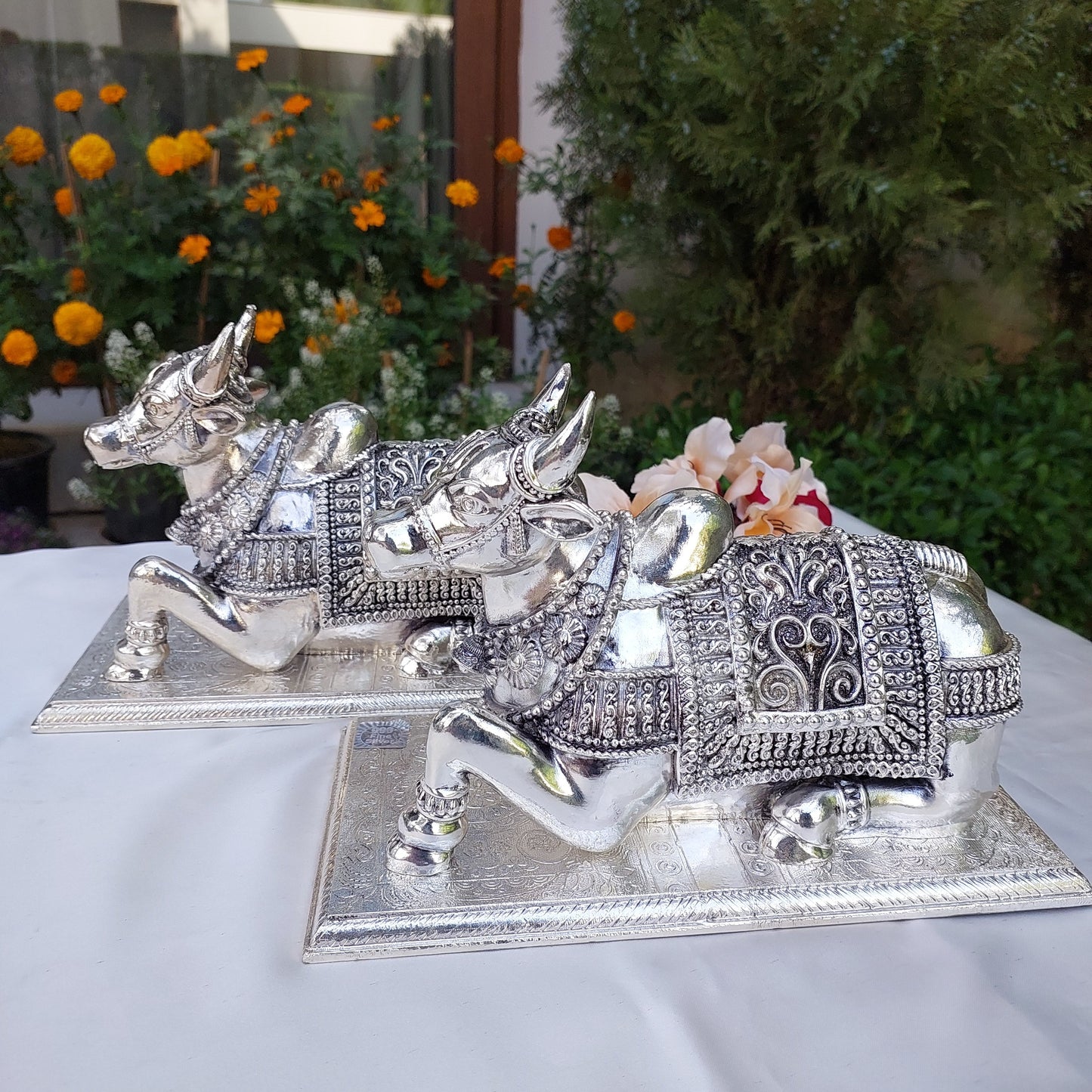 Silver Nandi