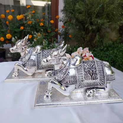 Silver Nandi