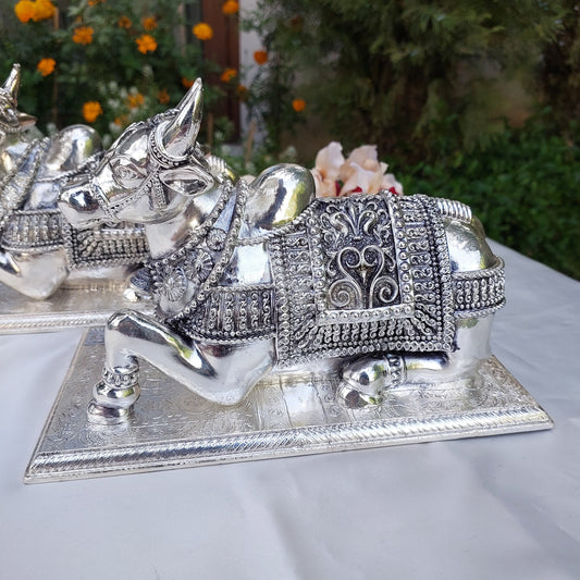 Silver Nandi