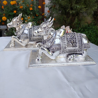 Silver Nandi