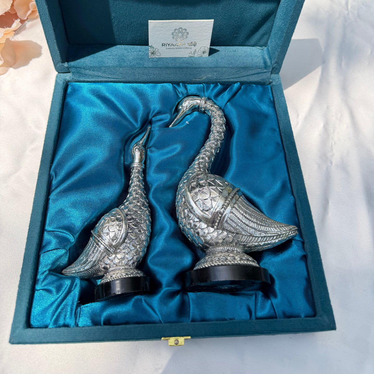 Silver Swan pair