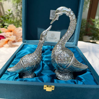 Silver Swan pair