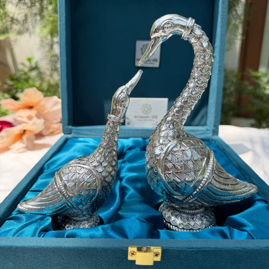 Silver Swan pair