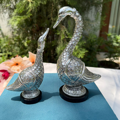 Silver Swan pair