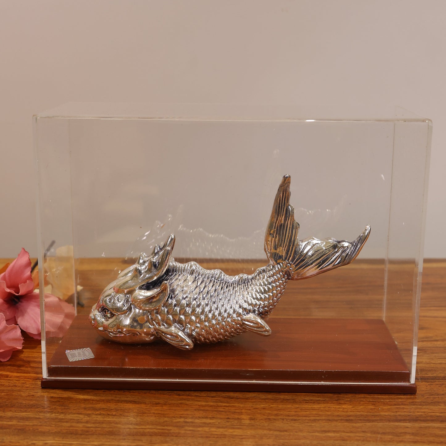 Silver Fish
