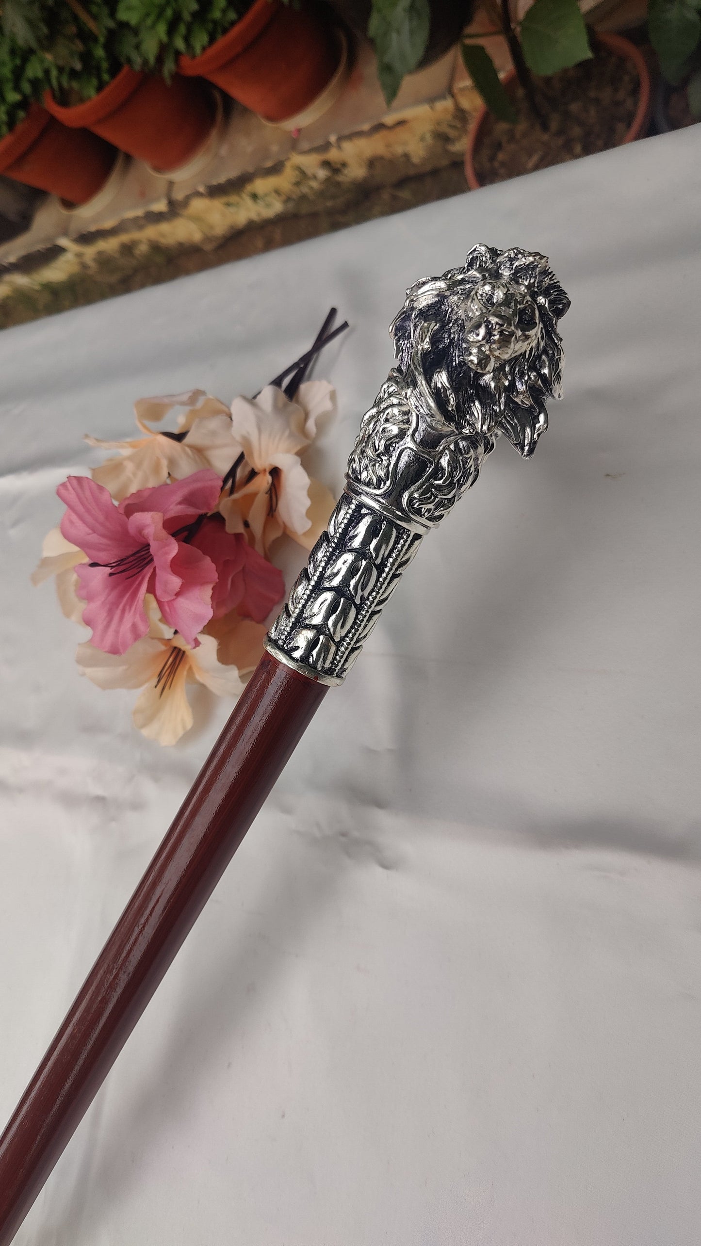 Silver Walking Stick