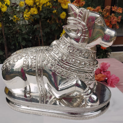 Silver Nandi Idol