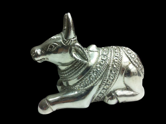 Silver Nandi Idol
