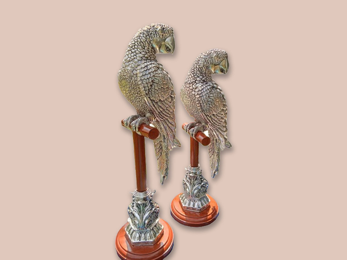 Image of Silver Parrot Pair
