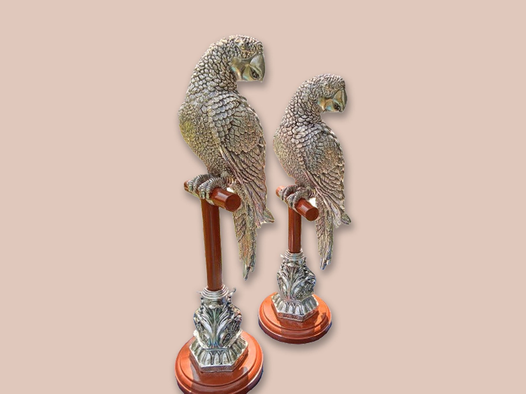 Image of Silver Parrot Pair