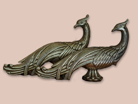 Image of Silver Peacock Pair