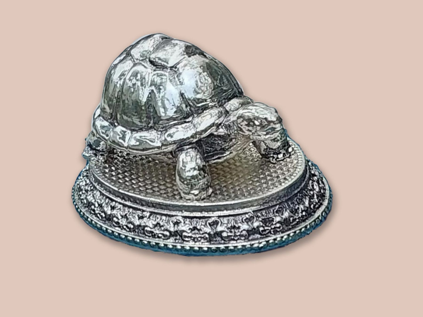 Image of Silver Tortoise