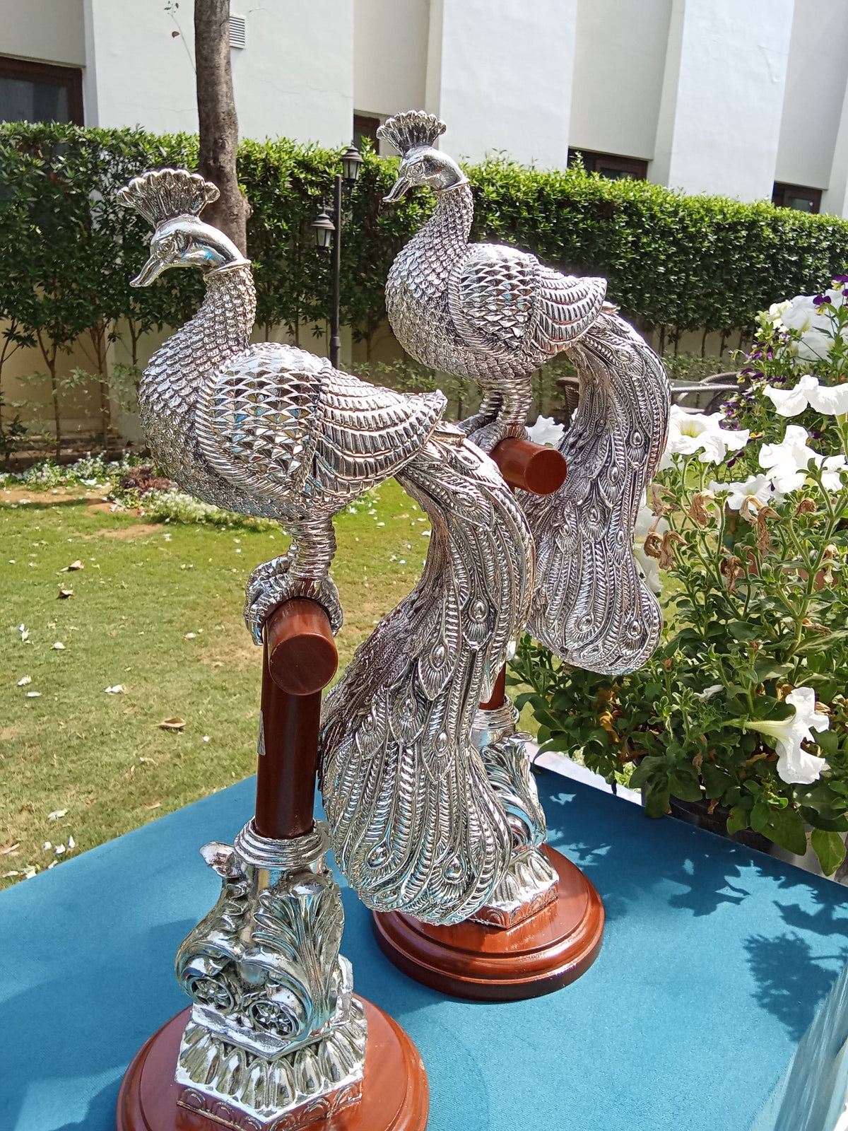 Silver Peacock Pair
