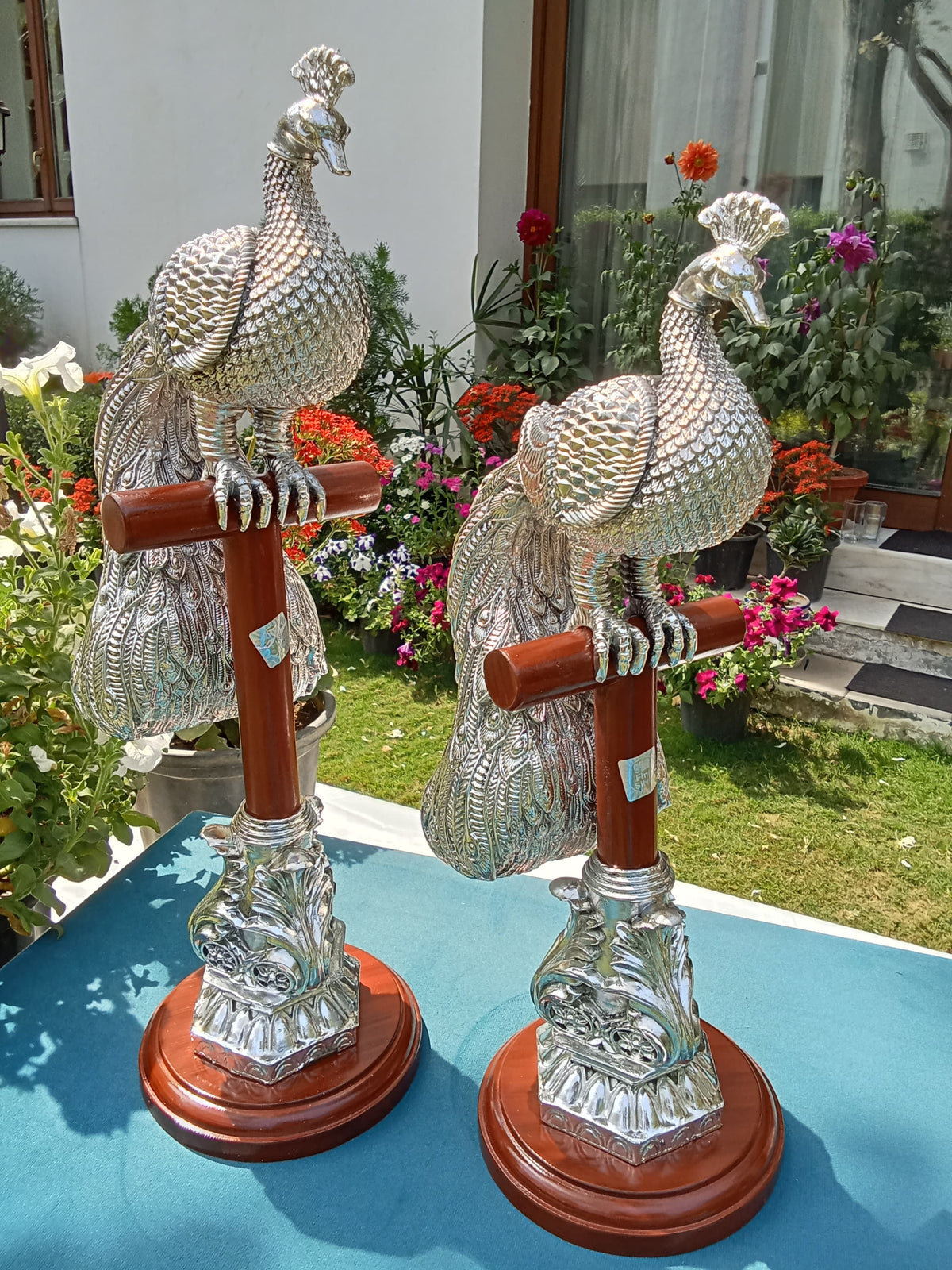 Silver Peacock Pair