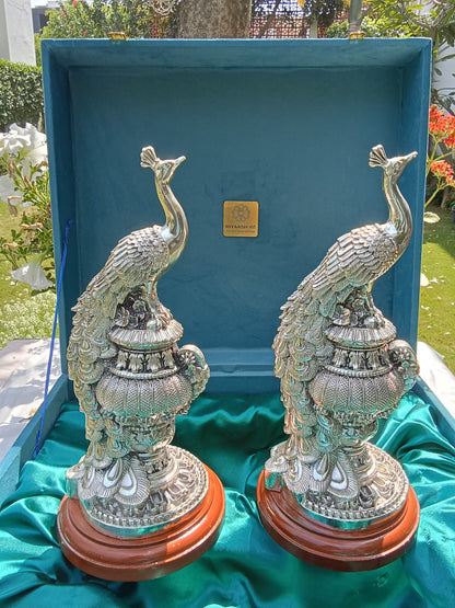 Silver Peacock Pair