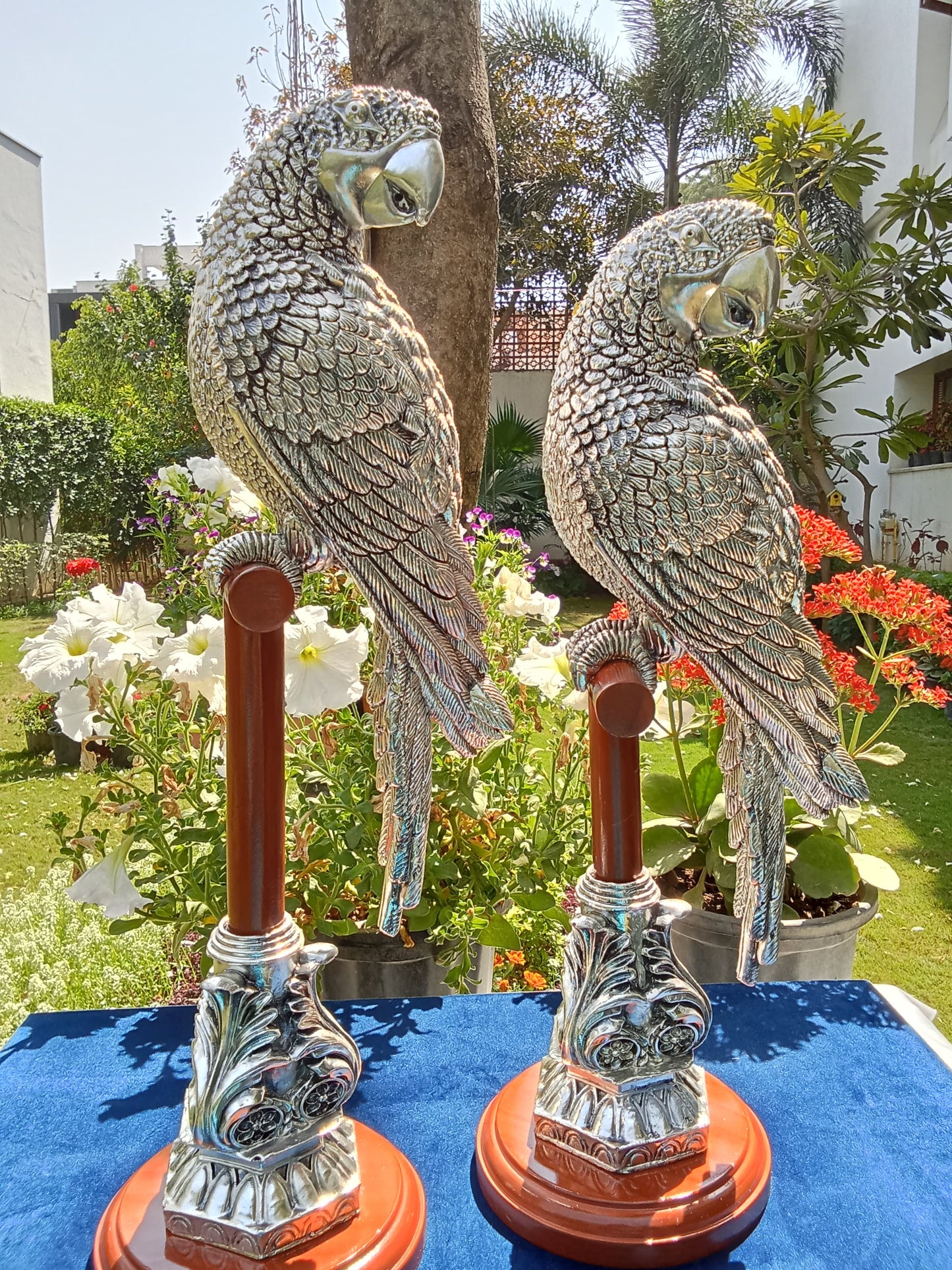 Silver Parrot Pair